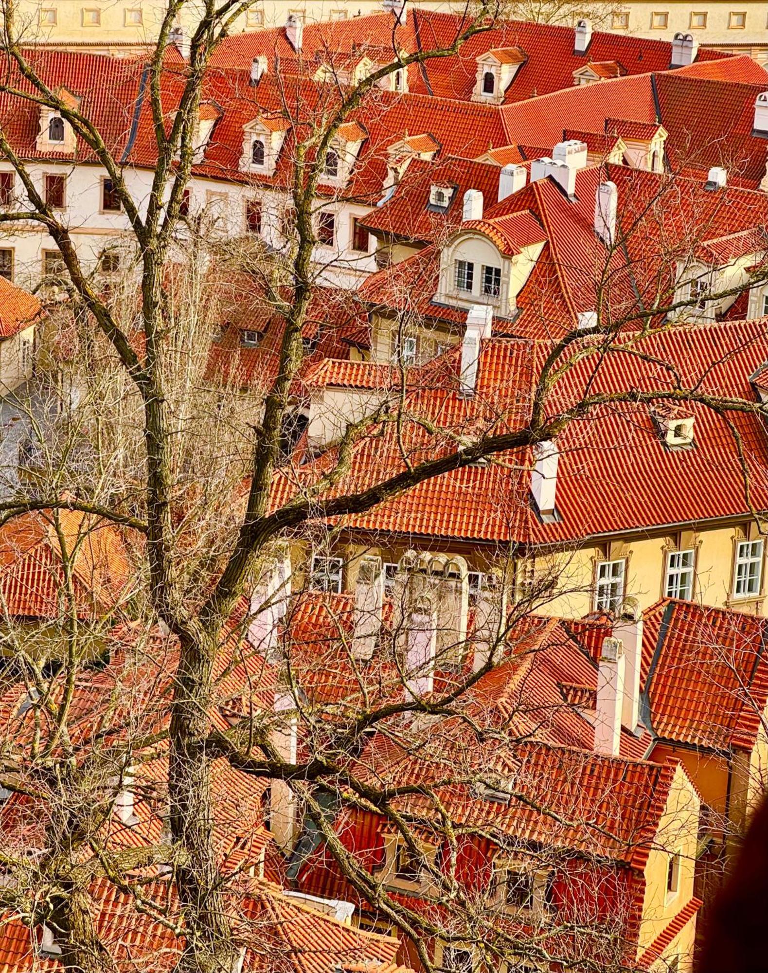 Nerudova 36 Appartement Praag